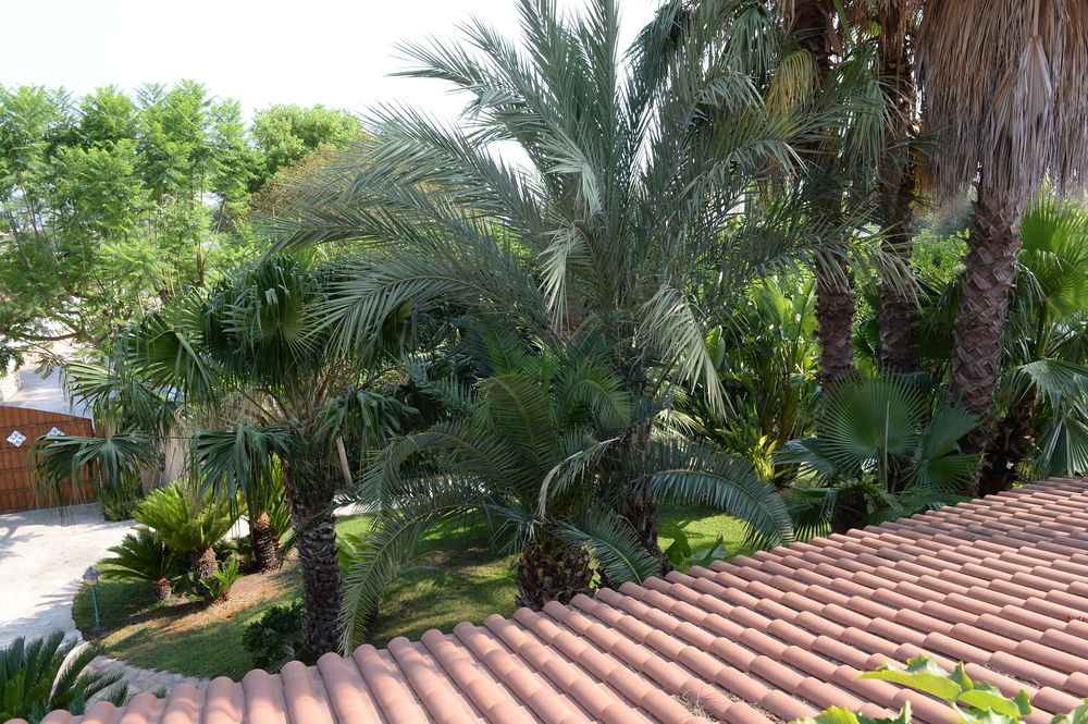 Il Giardino Delle Jacaranda Bed & Breakfast ตัลซาโน ภายนอก รูปภาพ